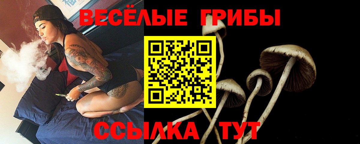 Галлюциногенные грибы GOLDEN TEACHER Керчь